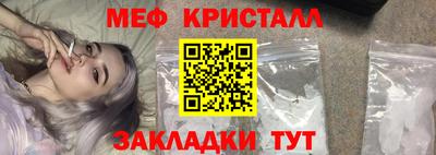 прущие грибы Дубна
