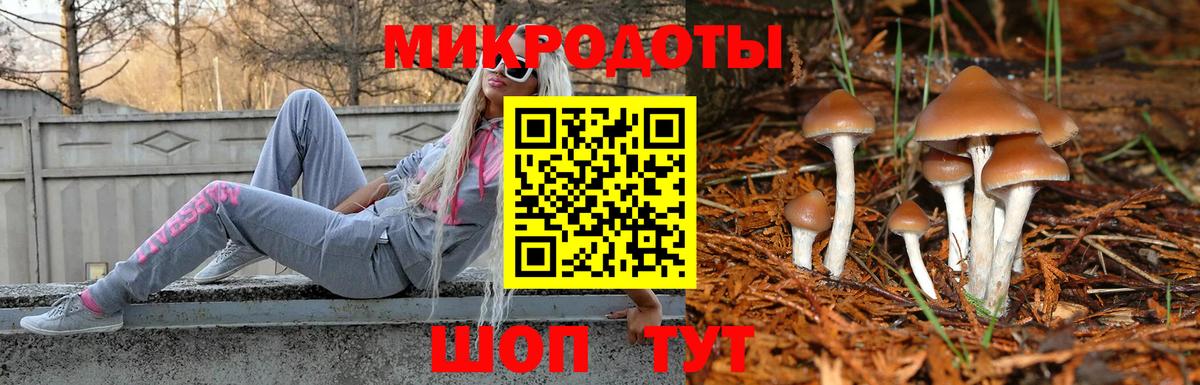 Галлюциногенные грибы MAGIC MUSHROOMS  Вход с VPN  Псилоцибиновые грибы MAGIC MUSHROOMS  Касимов 